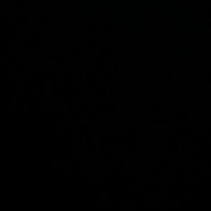 Meet your Posher, Nessa